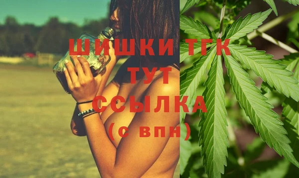 эйфоретик Горняк