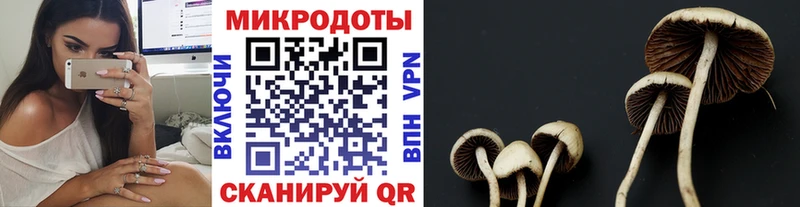 Псилоцибиновые грибы Magic Shrooms  магазин  наркотиков  Дагестанские Огни 